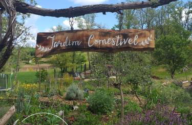 Ninho Bico-de-Lacre ~ o paraíso é a/na Terra - Foto 33