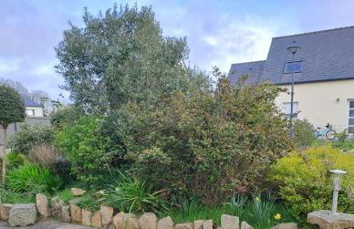 Ty Konk-Kerne Agréable maison au calme 5 min des plages Parking - Photo 34