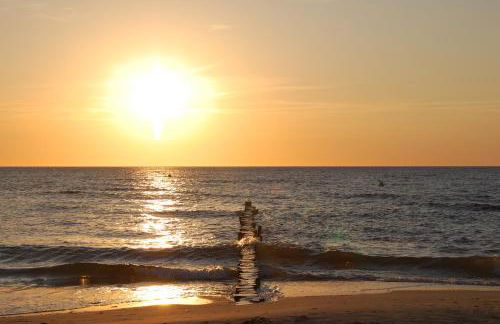 FEWO-Kramm Ostseebad Dierhagen - Foto 5