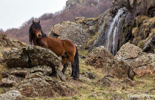 Casa della Posta - Foto 26