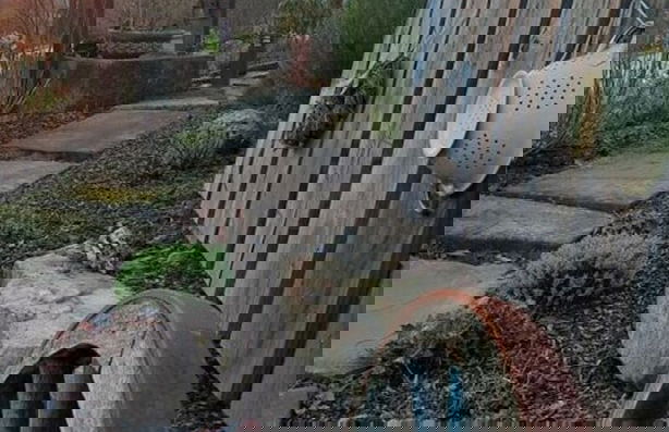 Apartment on the Isenmann Fruit Farm - Foto 23