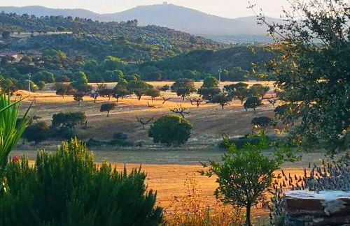 Sharish - Monte Das Estevas - Foto 18