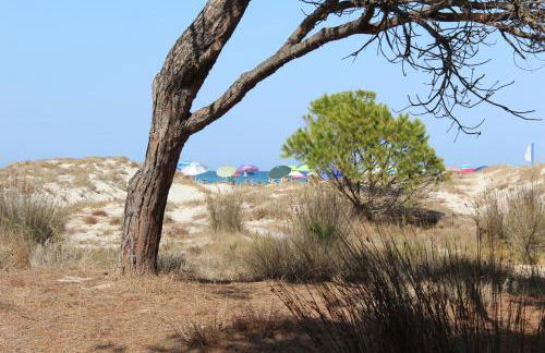 Casa Vancanze Budoni - Foto 22