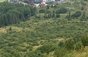 Herbert Place - Foto 43