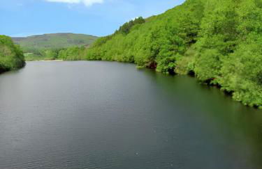 Chalet rustique à La Salvetat-sur-Agout avec vue montagne - Foto 14