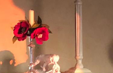 L’île aux fleurs - Foto 18