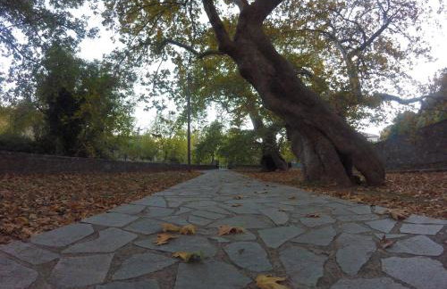 Stephania's Stone House - Foto 37