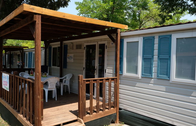 Happy Plus - Foto 14