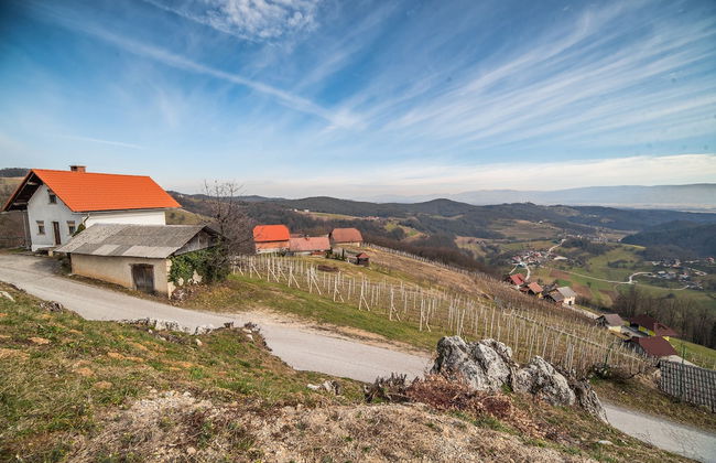 Luxury Holiday Home Zupan - Foto 24