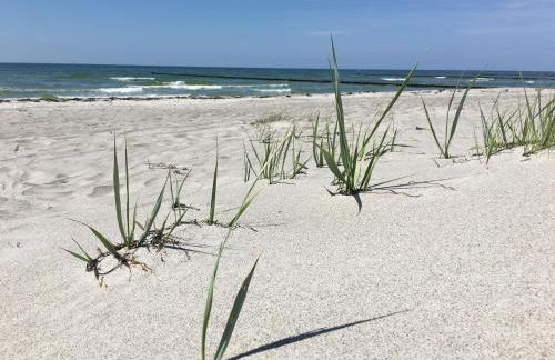 Auszeit am Focker Strom - Foto 26