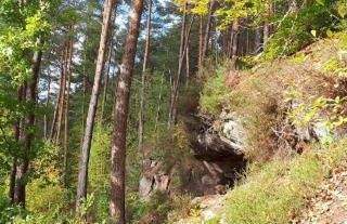 Ferienwohnung Waldnest - Photo 22