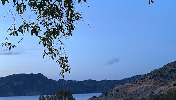 Palmira Selimiye - Foto 3, Quarto