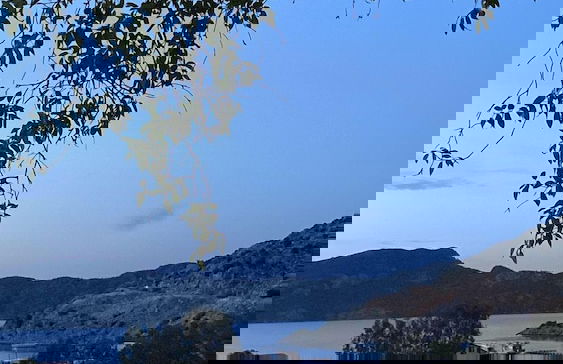 Palmira Selimiye - Foto 7