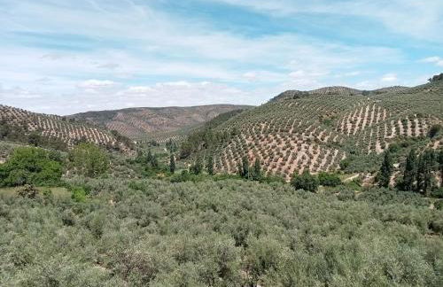 El Almendro de la Tia Teresa - Foto 1