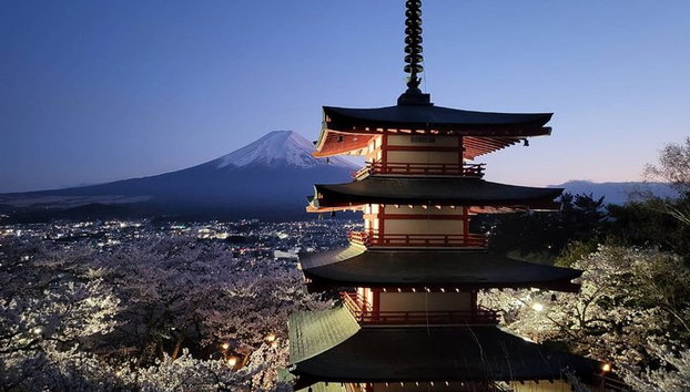 Tour privato in auto al Monte Fuji da Tokyo - Foto 3
