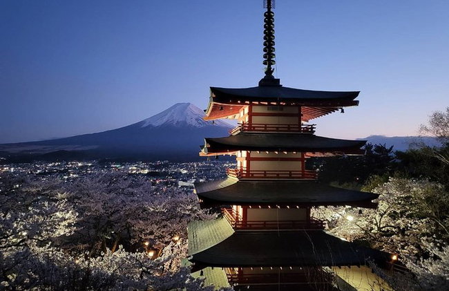 Tour privato in auto al Monte Fuji da Tokyo - Foto 3
