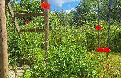 Sielanka Wydmy i Las - Foto 75