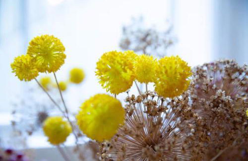 Clifton Village Apartment - Foto 9