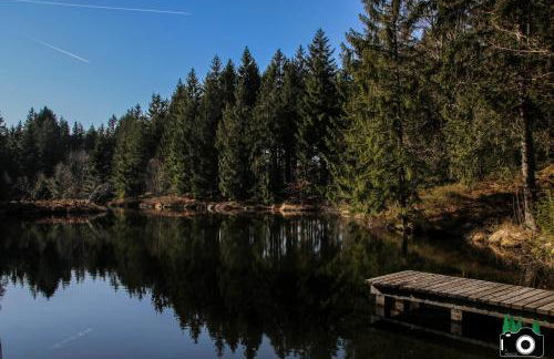 L'Atypique Vosgien - Foto 23