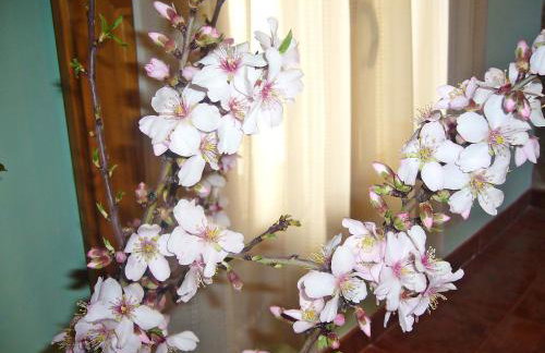 Las Bodegas Del Gilo - Foto 22