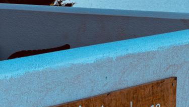 Aelia Studio Alonissos - Foto 2