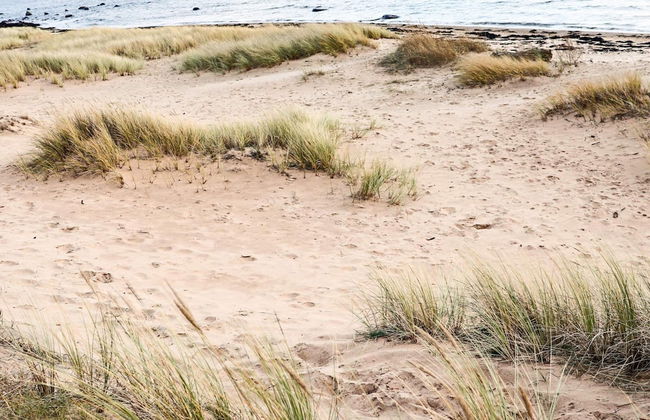 4 Star Holiday Home in Halmstad - Foto 19