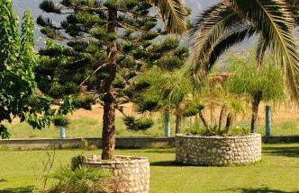 Akti Dimis Hotel - Foto 20