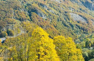 Studio Piccola Renna - Foto 46