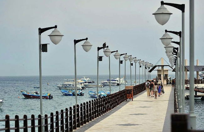 Plata Island Day Trip - Photo 2