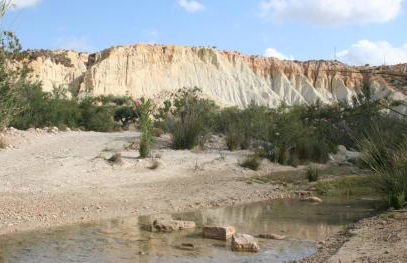 cozy House with Secret Garden & Spa private - Foto 23