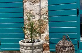 Blue Dream - Foto 35