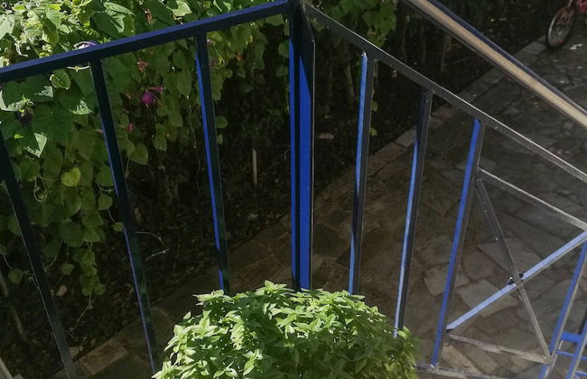 Amarylis Apartments - Foto 36