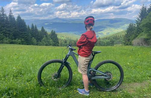 Filipówka - dom z sauną w Karkonoszach - Foto 36