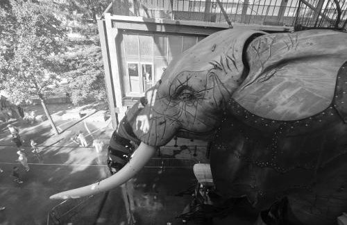 Appartement cosy jardin des plantes avec parking - Foto 33