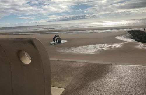 Beach House Apartment on ground floor with sea view - pet friendly - Foto 32