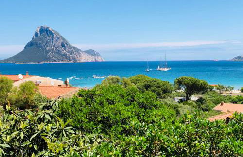 Bilocale degli Oleandri vista mare Porto Taverna - Foto 1