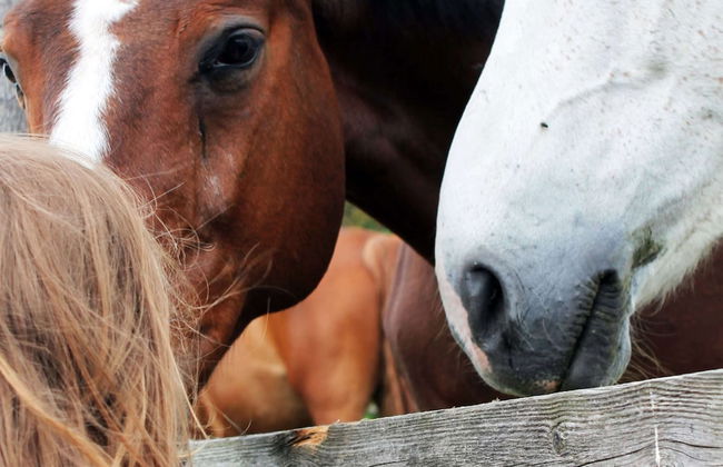 Wohnung in Alt Bukow mit Garten - Foto 17