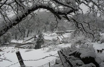 Budleigh Farm Cottages - Foto 27