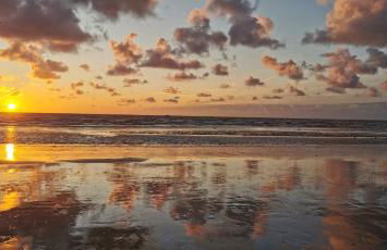 The Studio - Foto 45