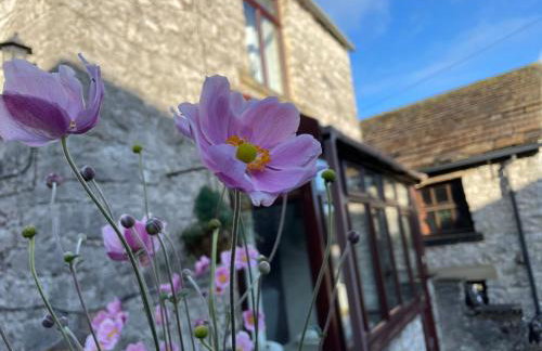 Muddy Paws Cottages - The Nook - Photo 23