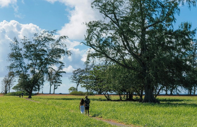 Kauai Plantation Hale Hotel - Foto 67