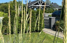 Apartament Różany - Foto 3