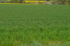 Apartaments Am Schloß - Foto 48