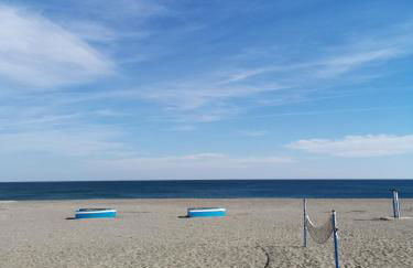 Beach Diamond - Photo 27