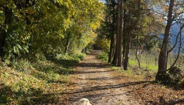 Ciasa Erica - Val di Non - Foto 5