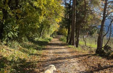 Ciasa Erica - Val di Non - Foto 5