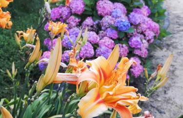 Quinta das Águias - Foto 2