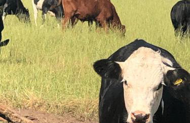 Lincoln Holiday Retreat Little House with private hot tub - Foto 55