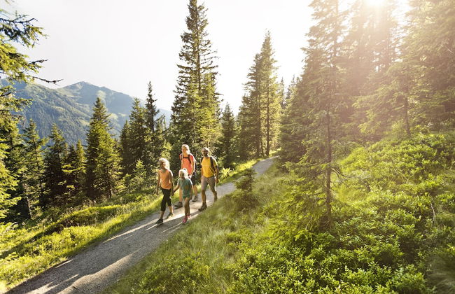 AlpenParks Chalet & Apartment Steve Lodge Viehhofen - Foto 26