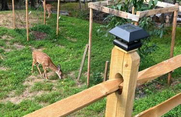 Spacious and tranquil 5br house in charming East Stroudsburg w game room, pets allowed - Foto 62